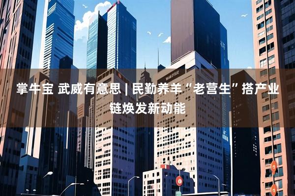 掌牛宝 武威有意思 | 民勤养羊“老营生”搭产业链焕发新动能