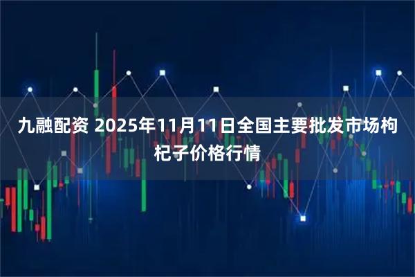 九融配资 2025年11月11日全国主要批发市场枸杞子价格行情