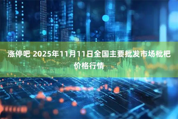 涨停吧 2025年11月11日全国主要批发市场枇杷价格行情