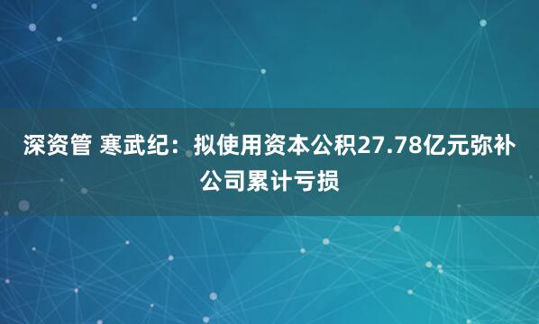 深资管 寒武纪：拟使用资本公积27.78亿元弥补公司累计亏损
