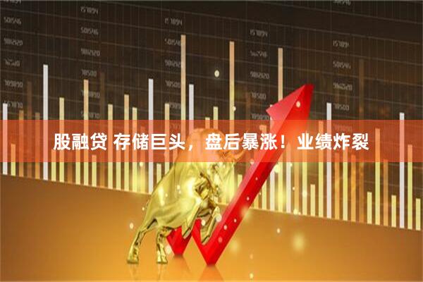 股融贷 存储巨头，盘后暴涨！业绩炸裂